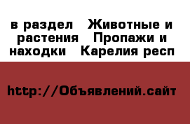  в раздел : Животные и растения » Пропажи и находки . Карелия респ.